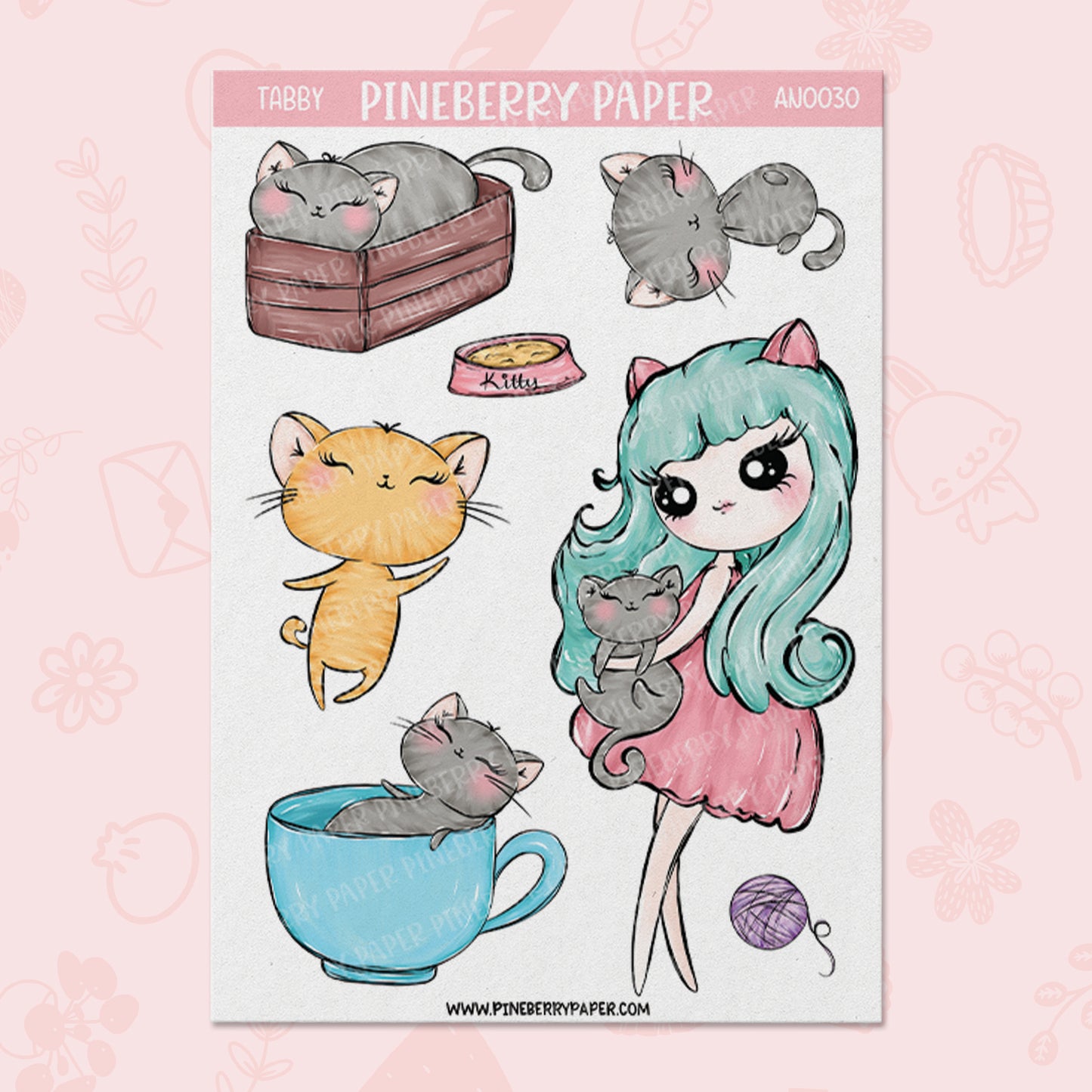 Tabby Cat | AN0030