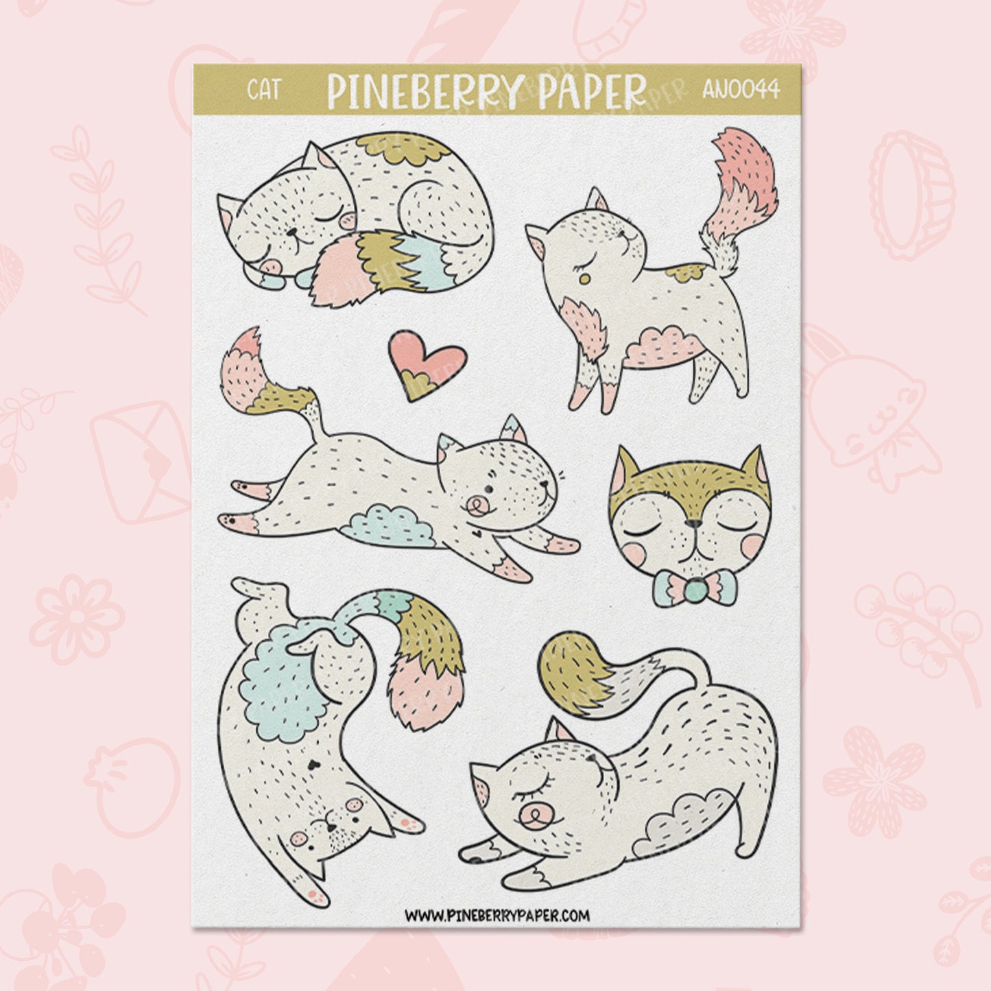 Cats | AN0044