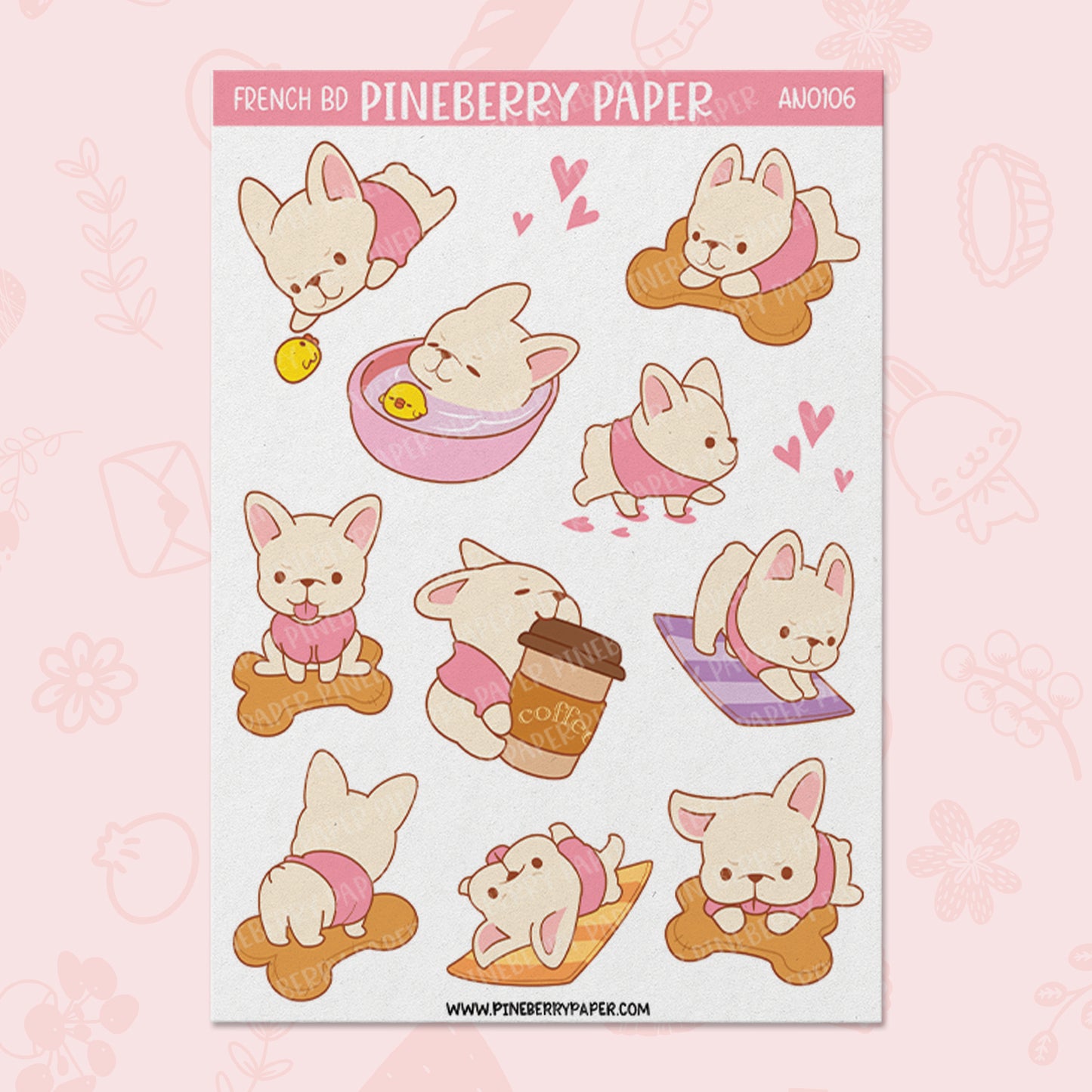 French Bulldog | AN0106