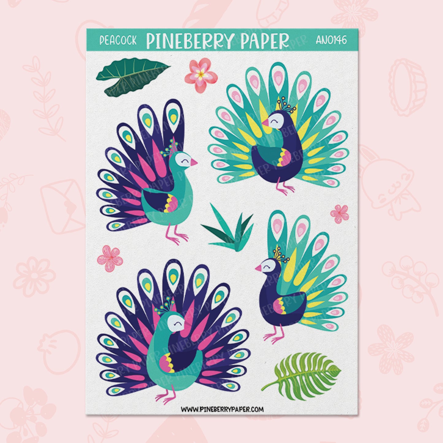 Peacock | AN0146