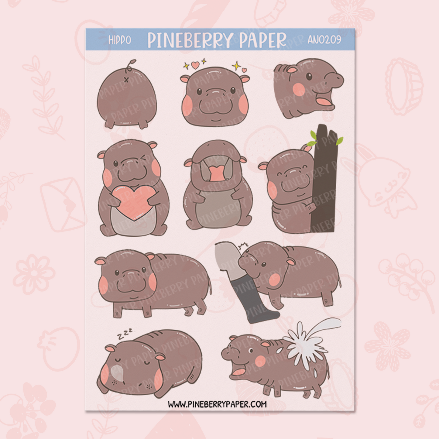 Moo Deng Pygmy Hippo | AN0209