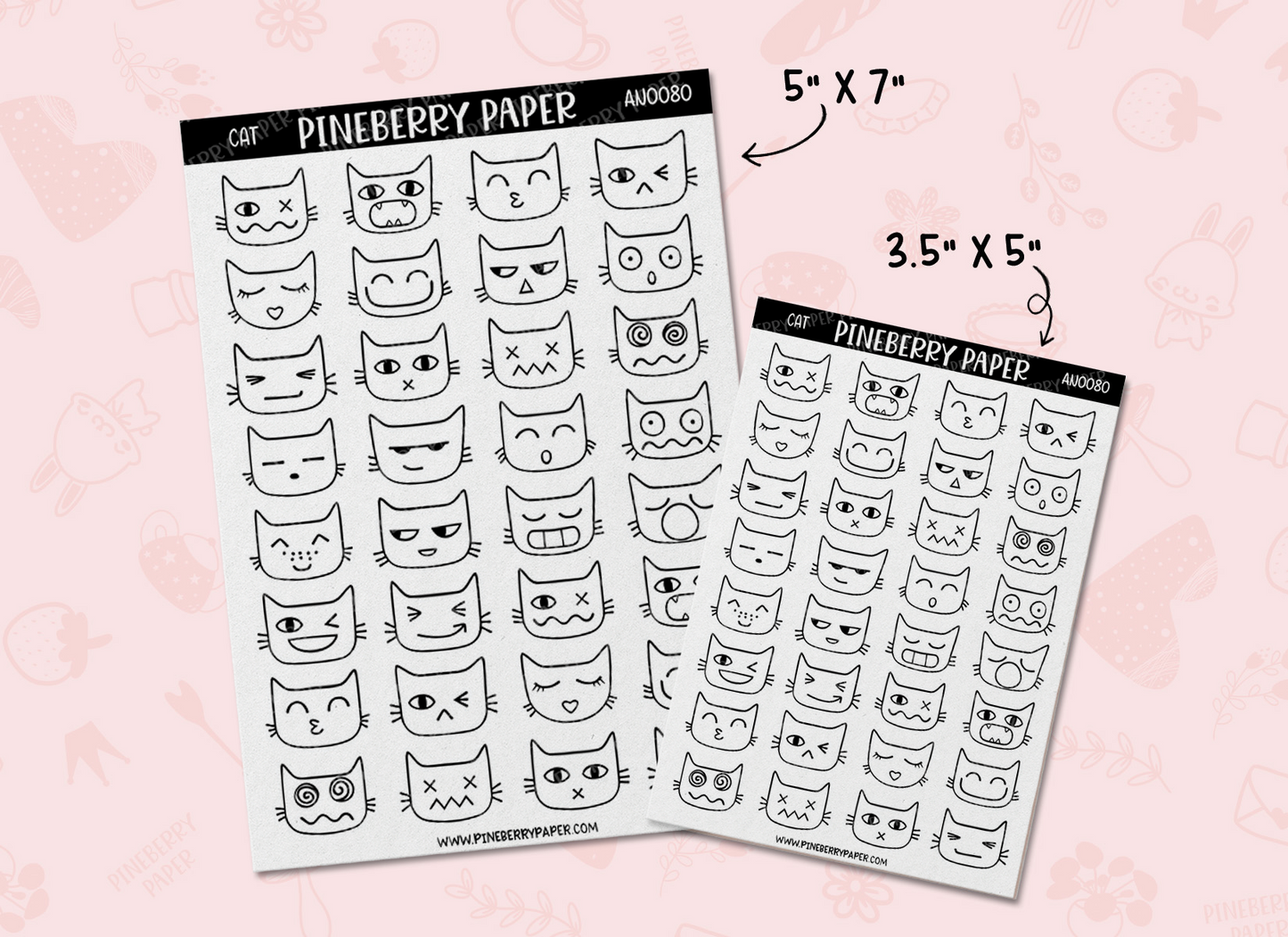 Funny Cat Faces | AN0080