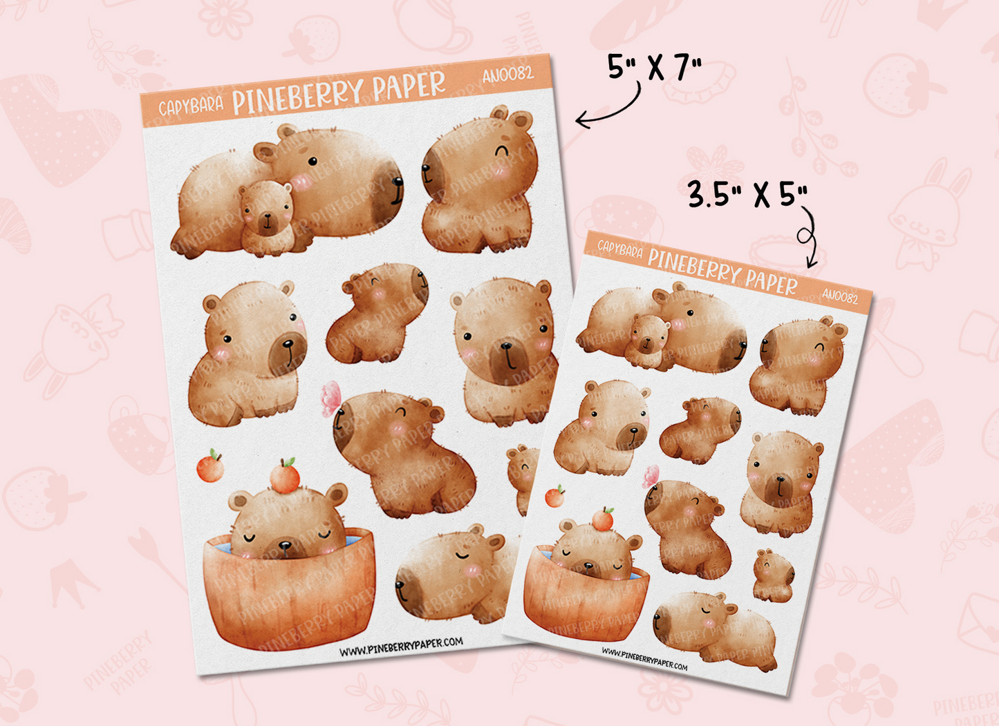 Capybara | AN0082