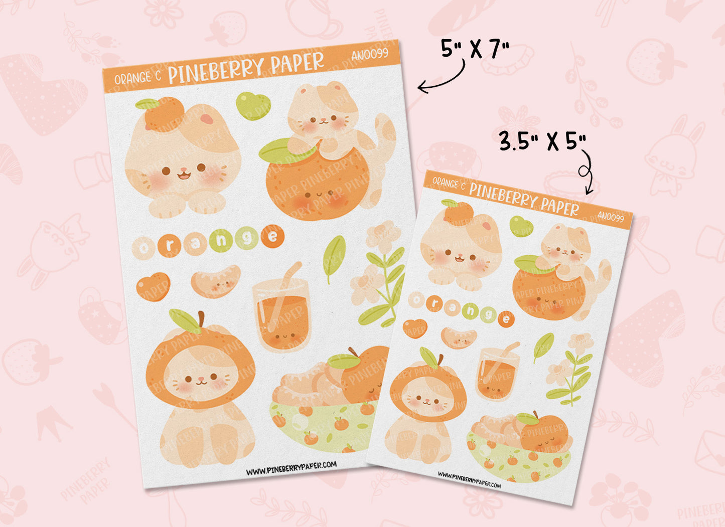 Orange Cat | AN0099 | AN0100