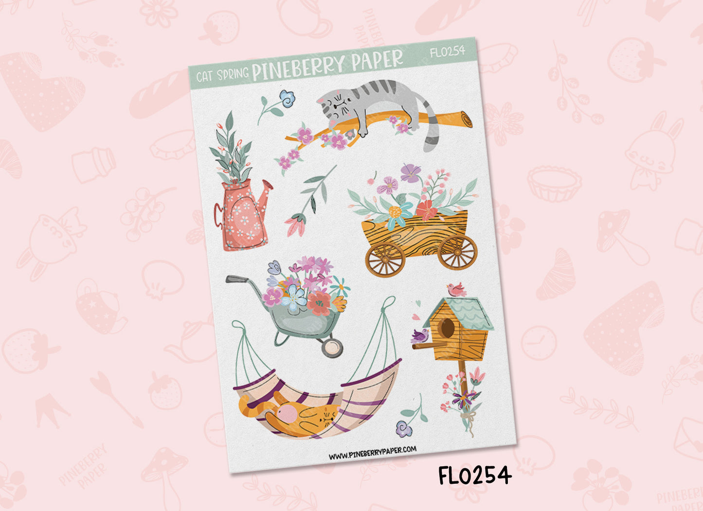 Cat Spring | FL0253 | FL0254