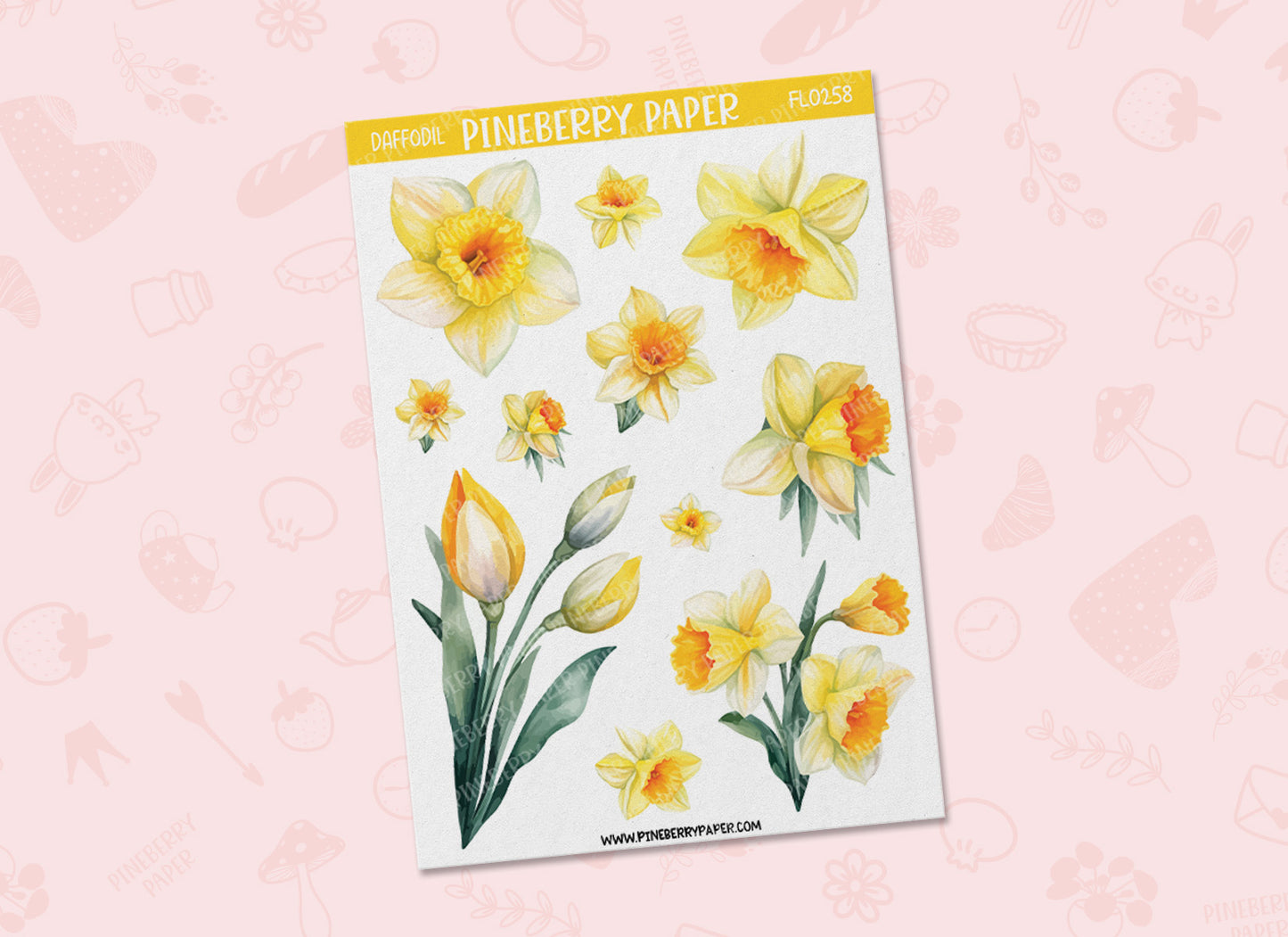 Daffodil | FL0258