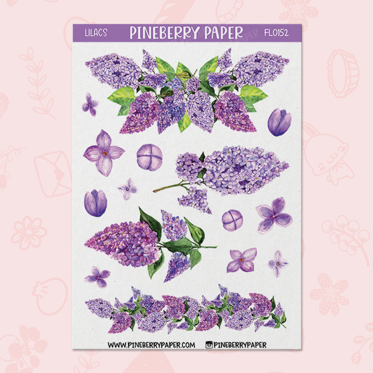 Lilacs | FL0152