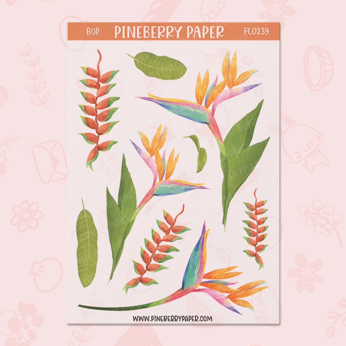Birds of Paradise | FL0239