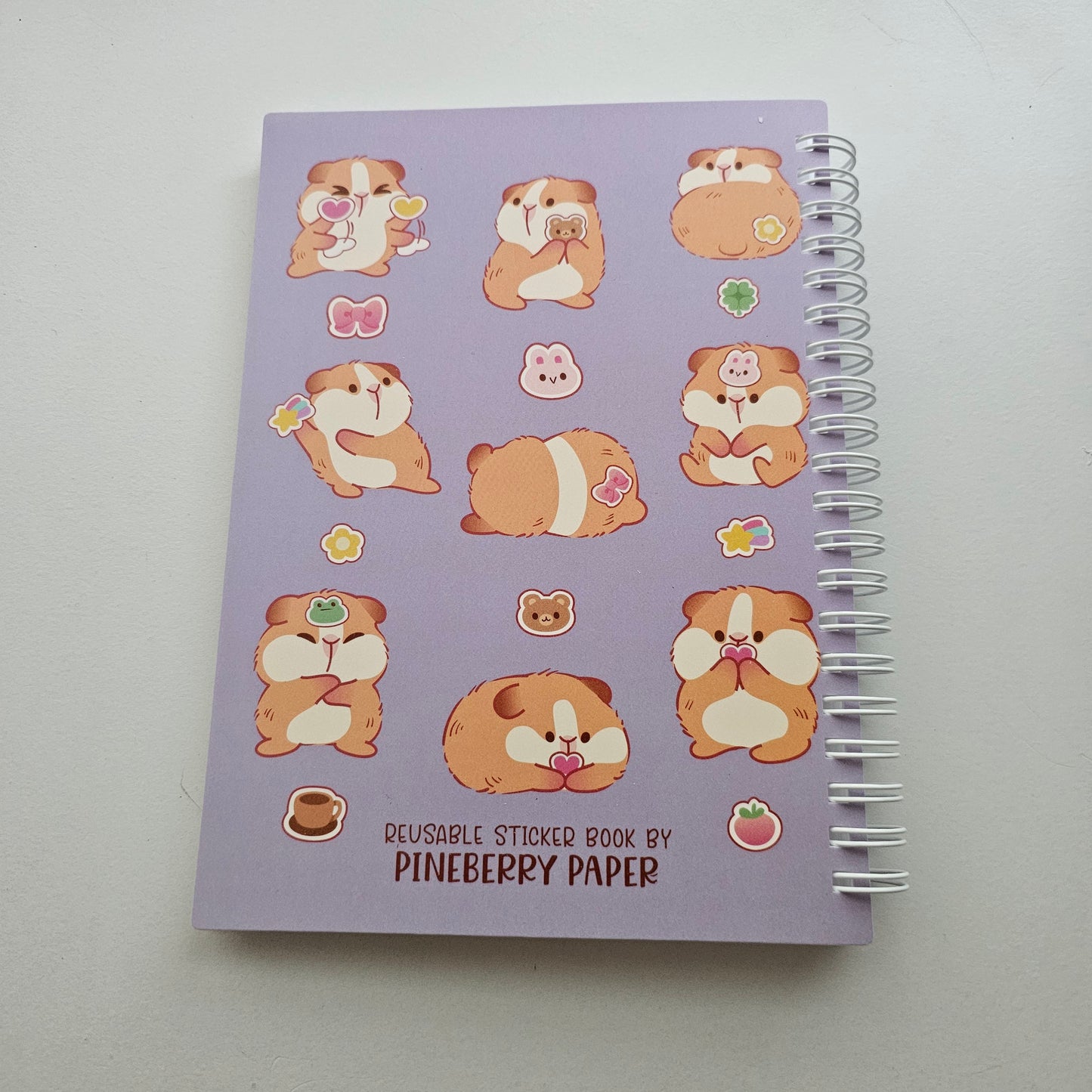Sticker Loving Guinea Pig Reusable Sticker Book