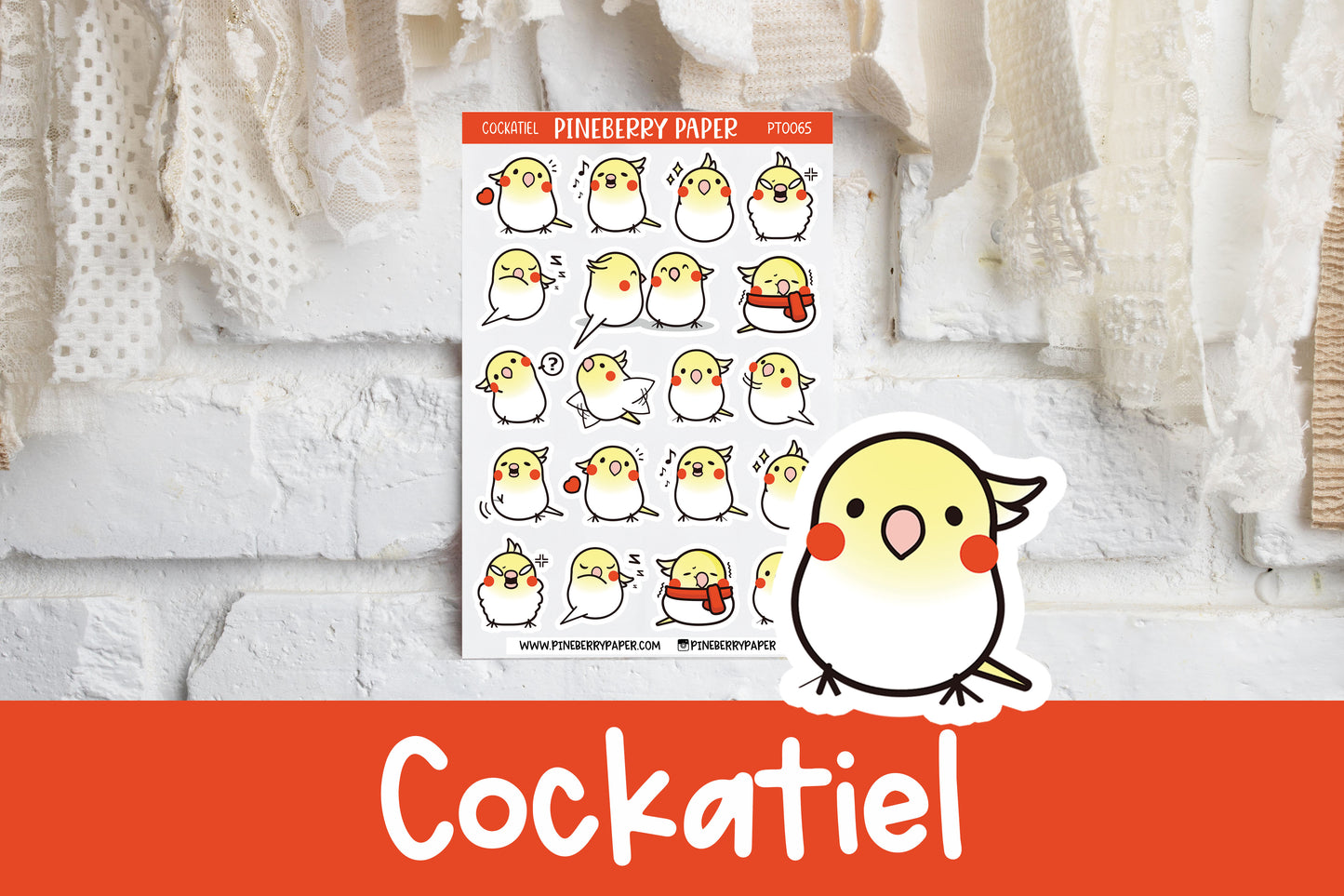 Cockatiel | PT0065