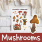 Mushroom | Mushie Works x Pineberry Paper Collab