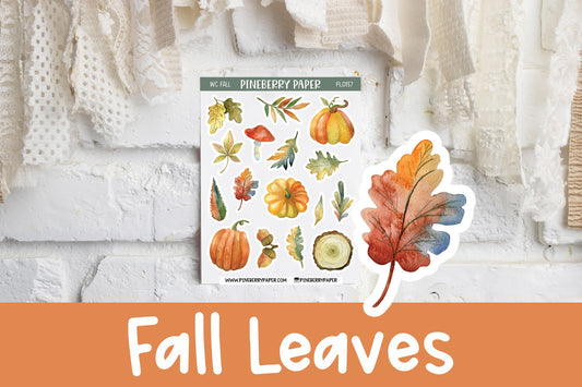 Fall Leaves | FL0137