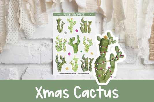 Christmas Cactus | SL0072