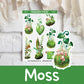 Moss | FL0158
