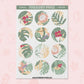 Tropical Circles | AB0006