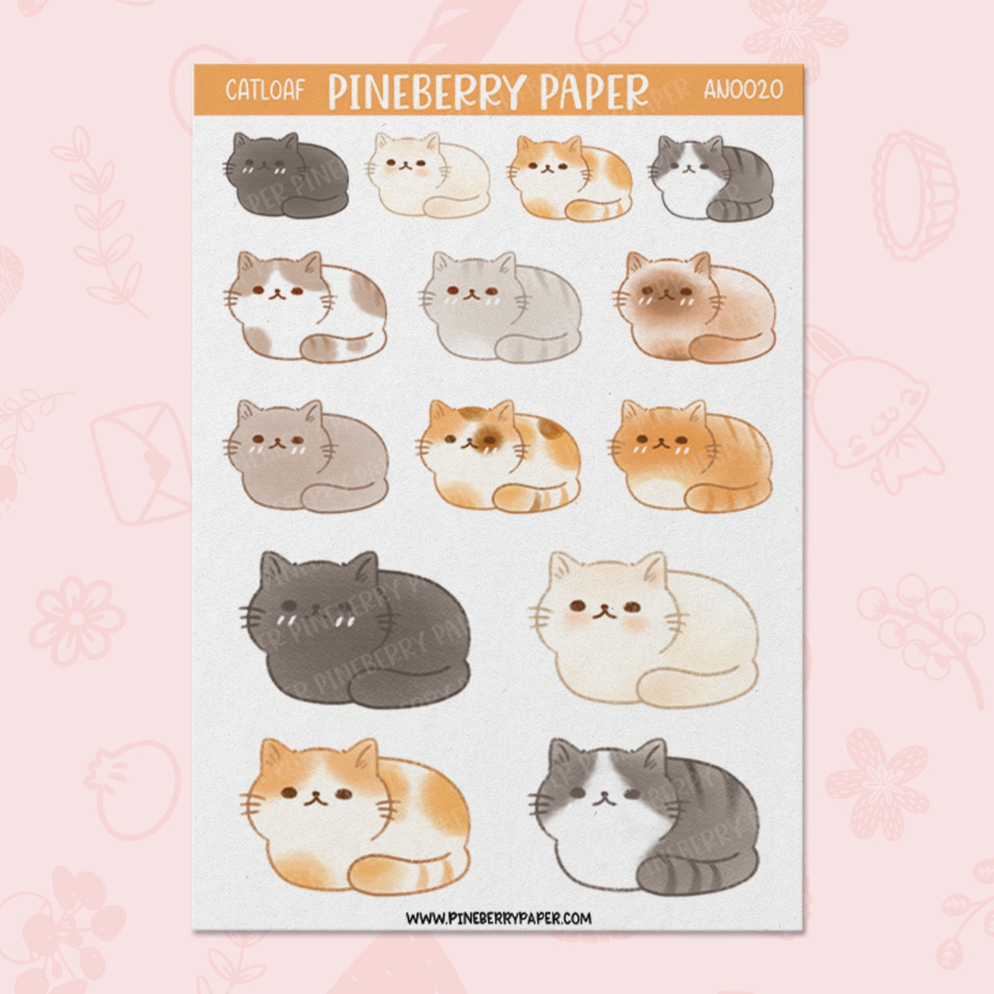 Loaf Cat | AN0020