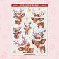 Reindeer | AN0023