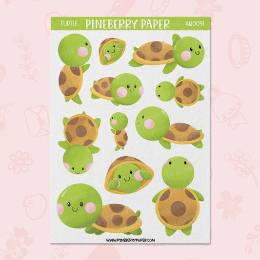 Turtles | AN0091