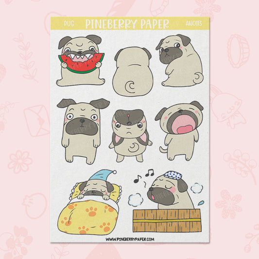 Pug | AN0113