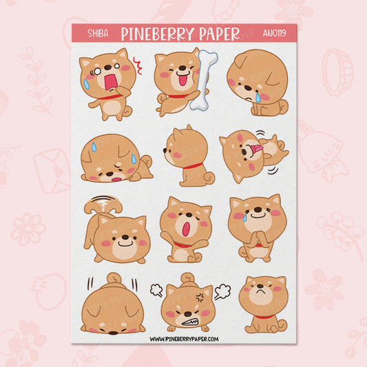 Shiba | AN0119