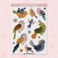 Birds | AN0158