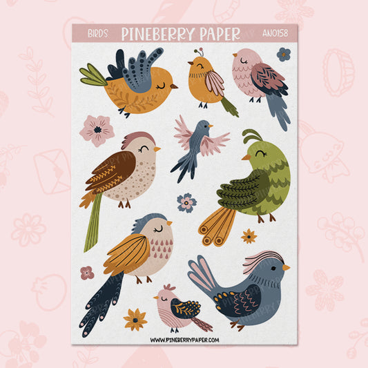 Birds | AN0158