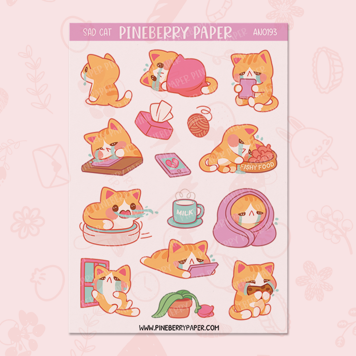 Sad Cat | AN0216