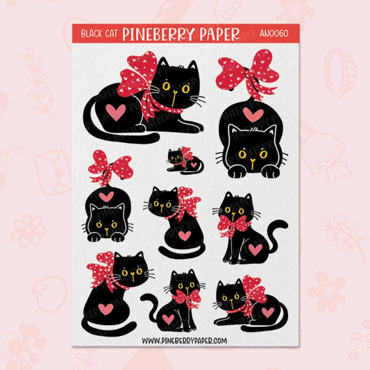 Black Cat | AN0060