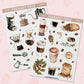 Coffee Set | FD0071 & FD0072