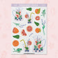 Fruit Drinks | FD01564