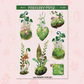 Moss | FL0158