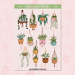 Hanging Plants | FL0187