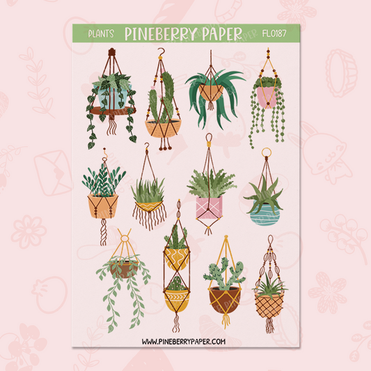 Hanging Plants | FL0187