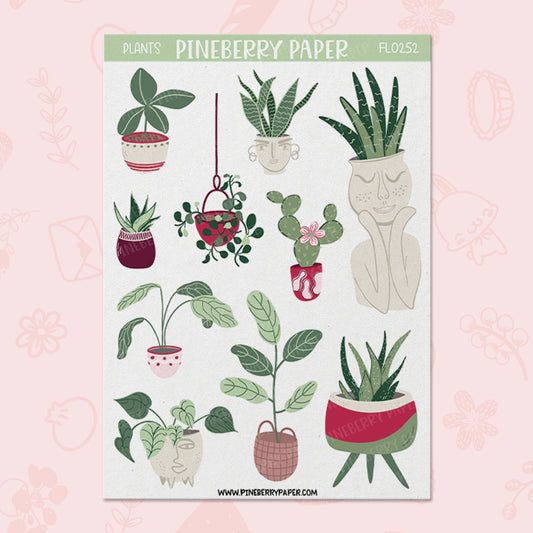 Plants | FL0252