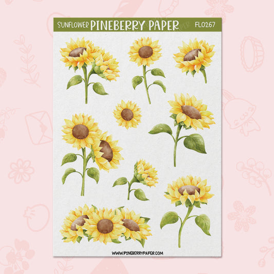 Sunflowers | FL0267
