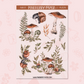 Forest 2 | FL0276