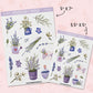 Lavender | FL0009