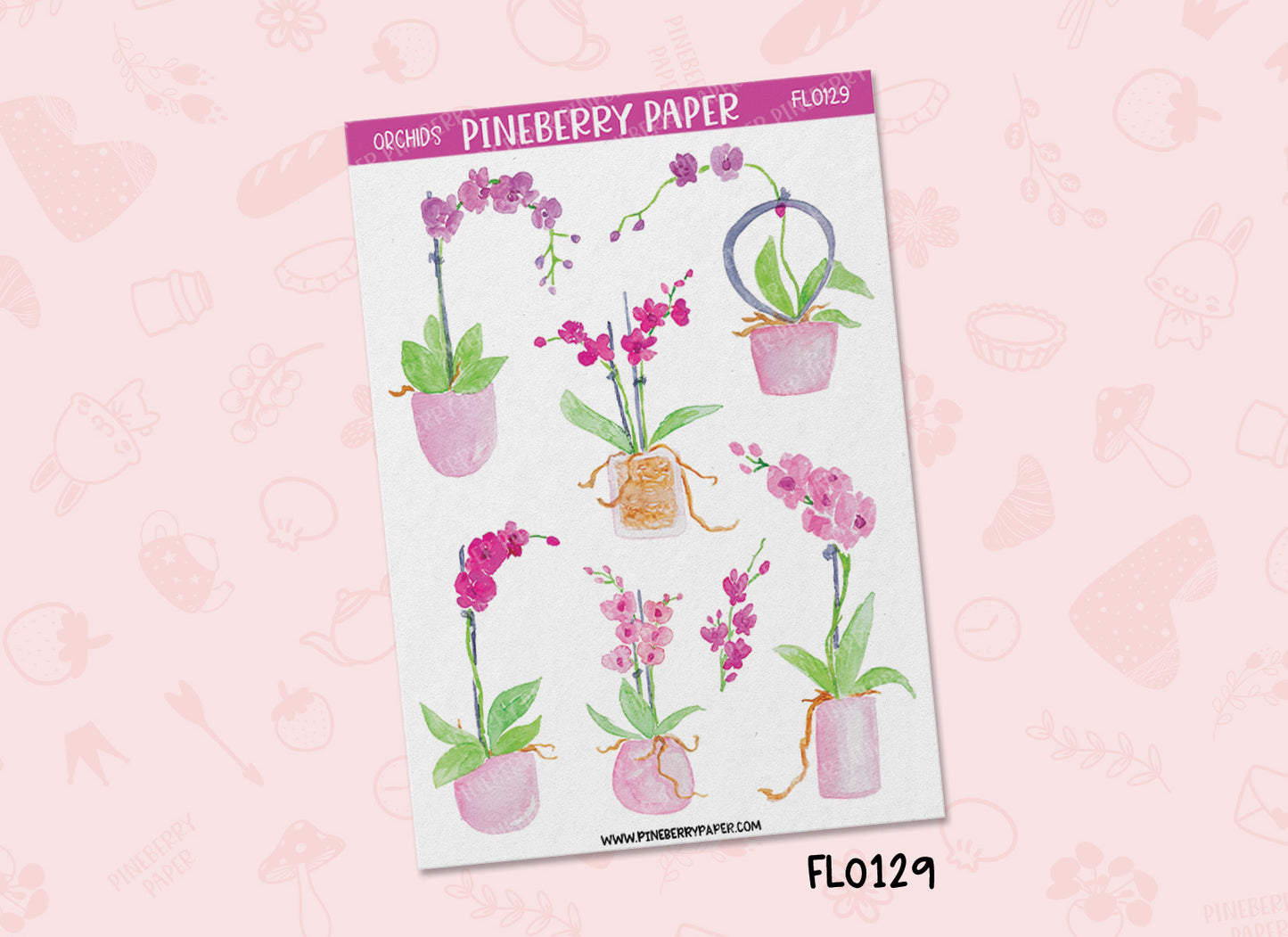 Pink Orchid | FL0129 | FL0130