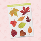 Autumn Leaves | FL0243