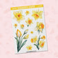 Daffodil | FL0258