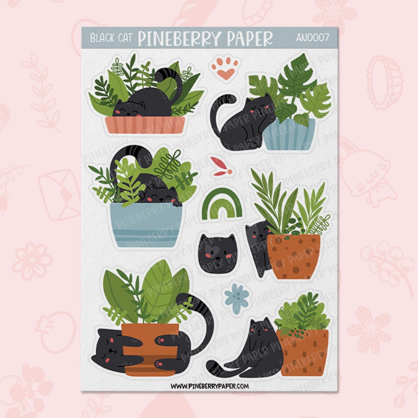 Plant Cat | AN0007