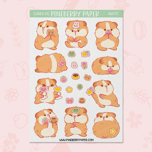 Sticker Loving Guinea Pig | AN0175