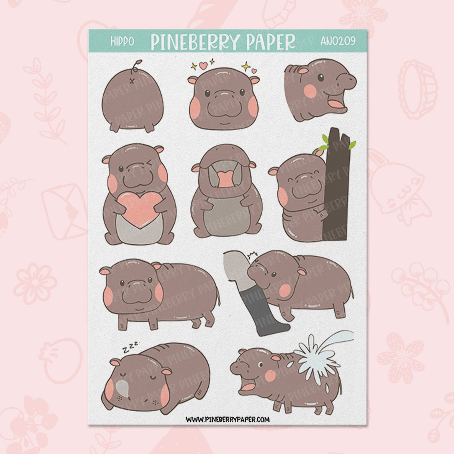 Moo Deng Pygmy Hippo | AN0209