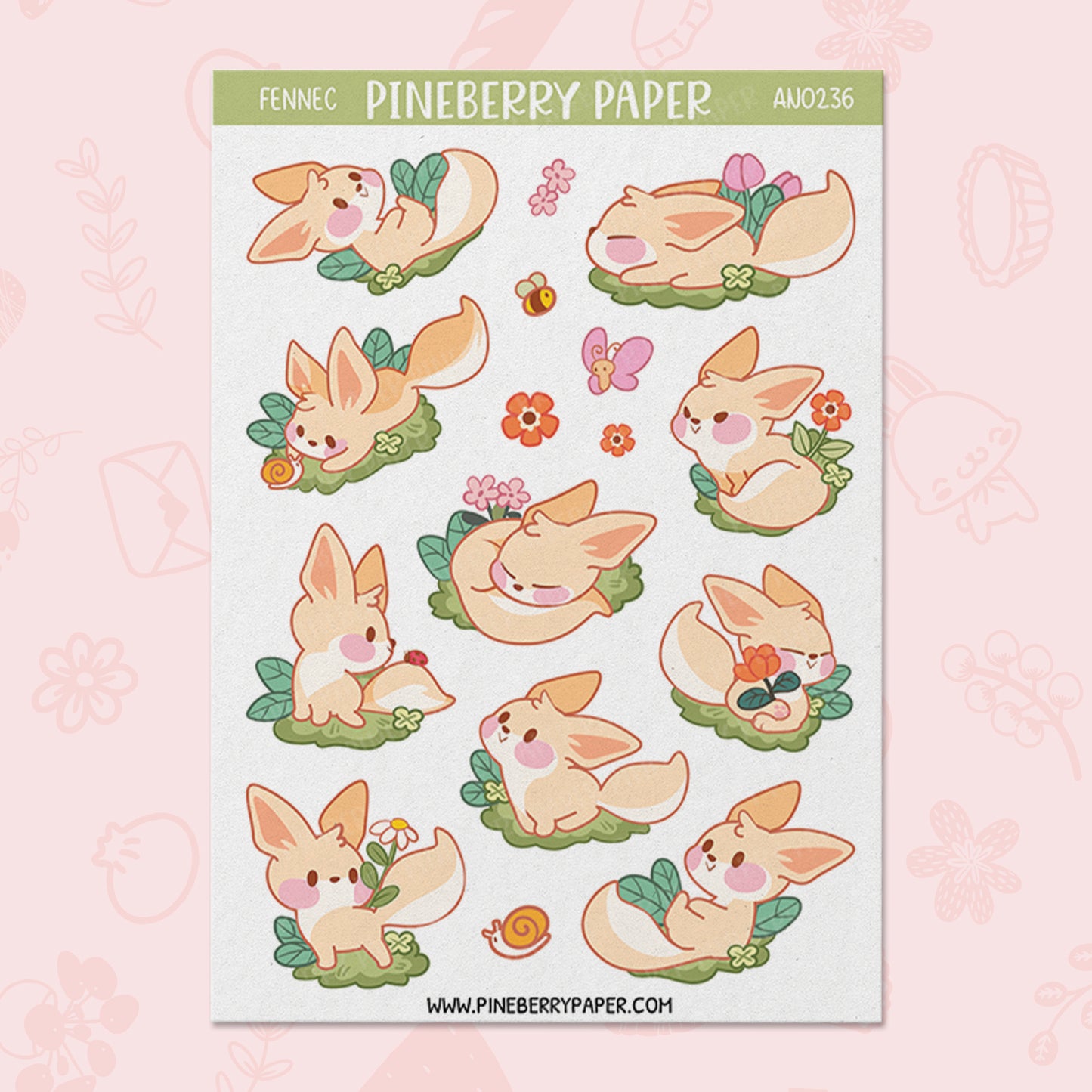 Fennec Fox | AN0236