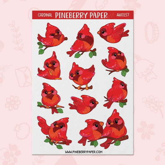 Cardinal | AN0257