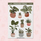 Houseplants | FL0214