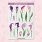 Calla Lily | FL0050