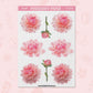 Pink Peony | FL0054