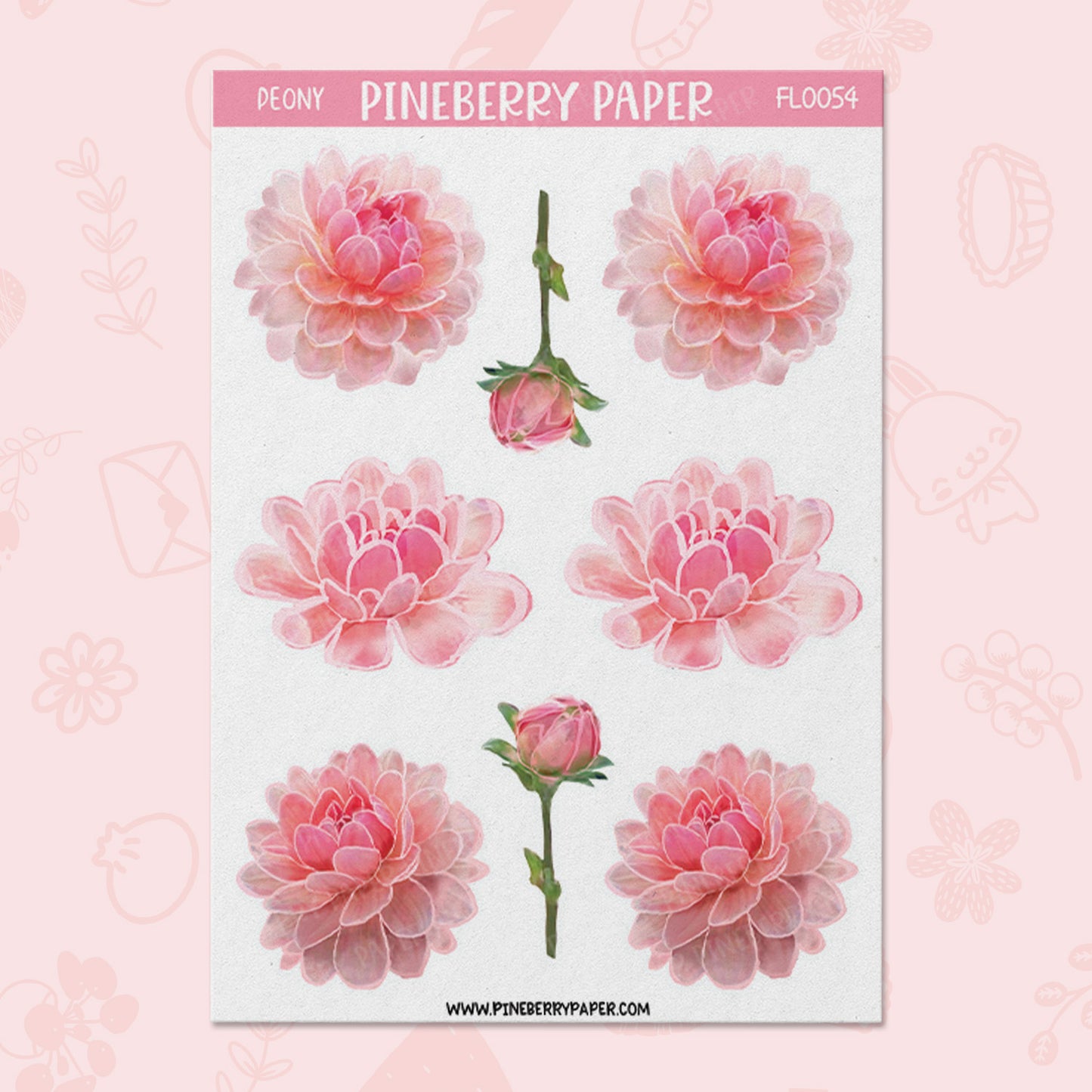 Pink Peony | FL0054