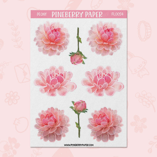 Pink Peony | FL0054